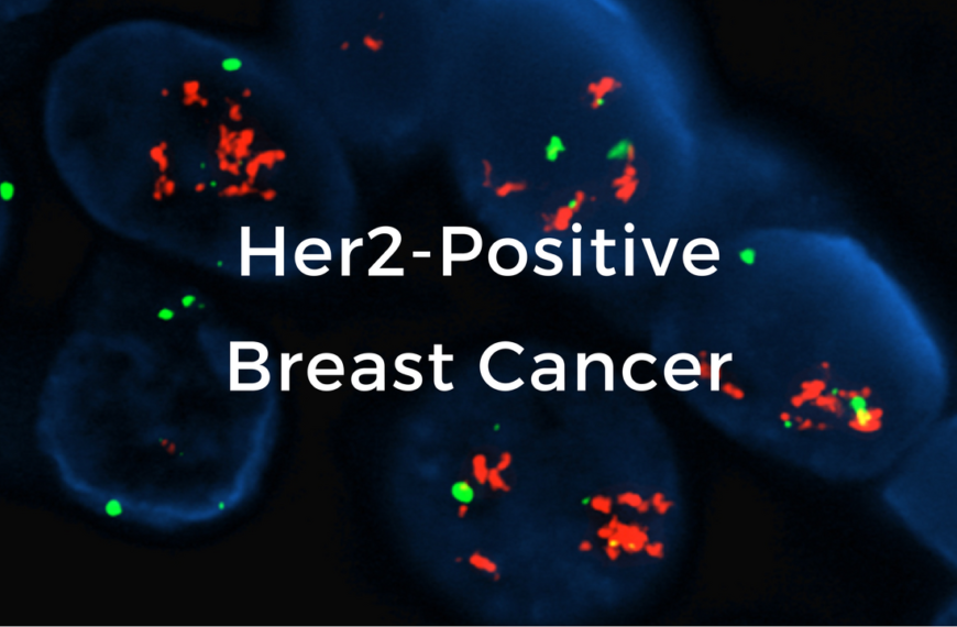 Understanding HER2-Positive Breast Cancers