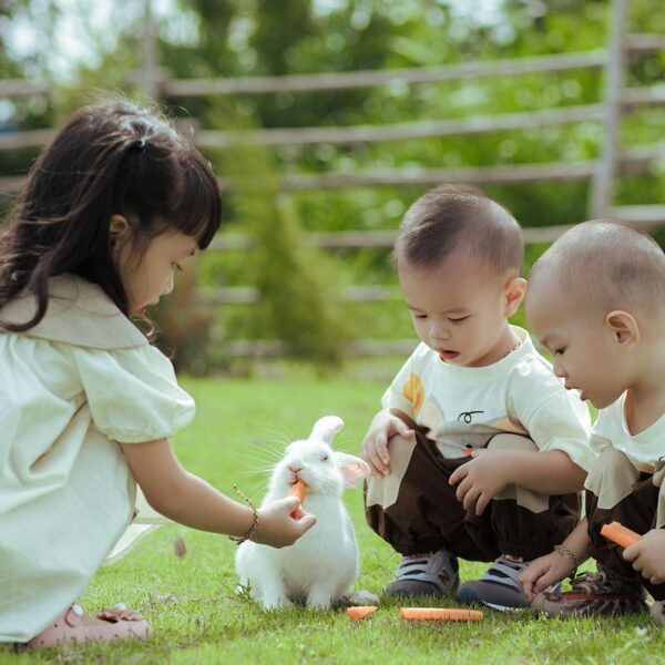 The Role of Family Meals in Childhood Health and Happiness