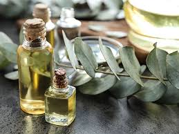 Bulk Lemon Oil & Lemon Eucalyptus Oil: Your Complete Guide to Reliable Manufacturers, Suppliers & Wholesale Buying