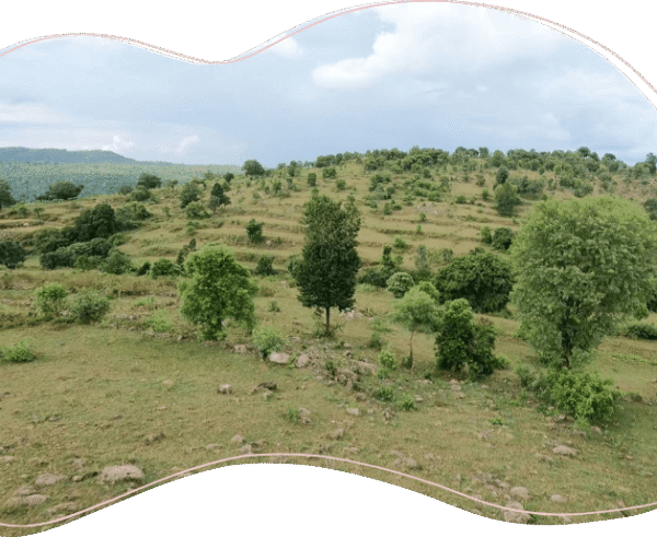 Choosing eco-friendly homes in Bangalore – A future-proof investment