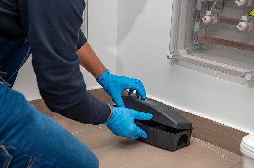 Trusted Pest Control & Exterminators in Chelmsford: Protecting Homes