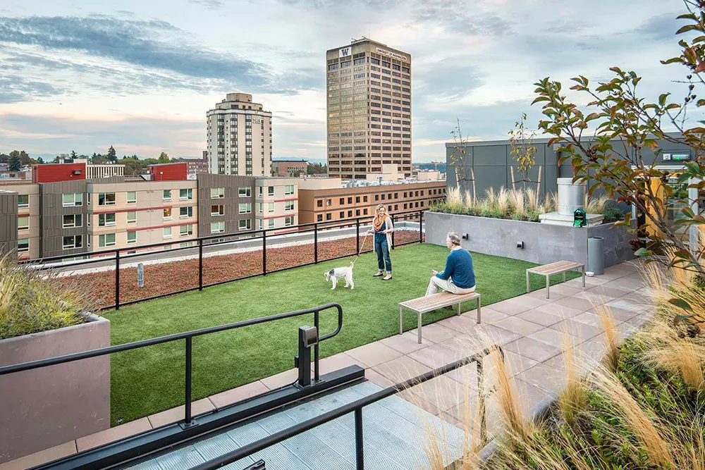 Apartments Near Seattle with Dog Parks: Pet-Friendly Living in Newcastle