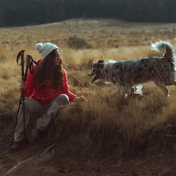 How to Build Your Dog’s Hiking Endurance Without Overworking Them