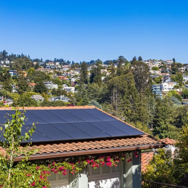 Clean, Green Living: 6 Sustainable Upgrades to Make Your House the Envy of the Neighborhood