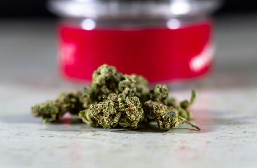 8 Reliable Options for Buying Seeds Safely