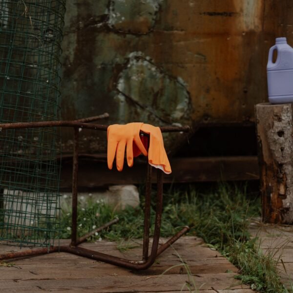 What Rust Can Harm and How to Prevent it