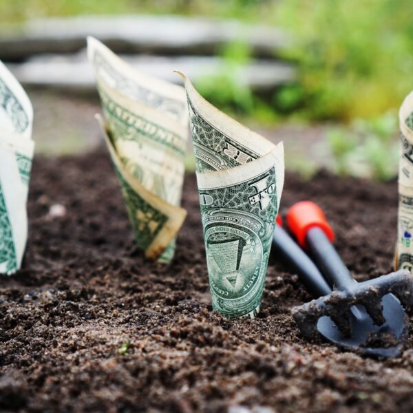 How an Investment Banking Program Prepares You for Front-End Finance Roles