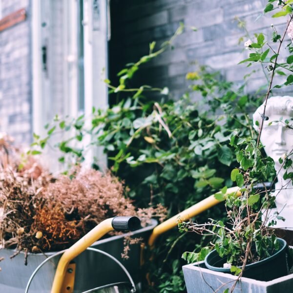 Affordable Garden Renovation Ideas With Big Visual Impact