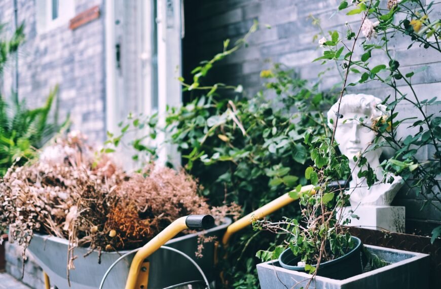 Affordable Garden Renovation Ideas With Big Visual Impact