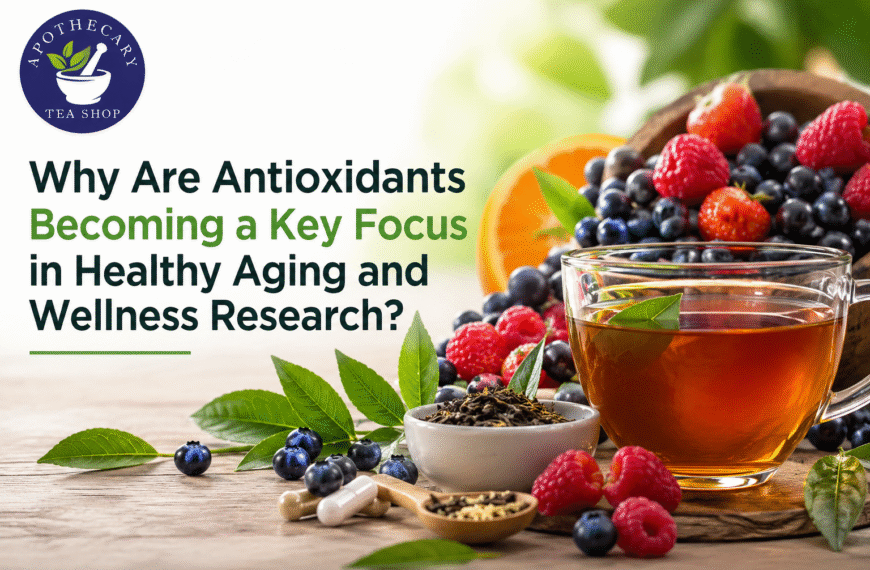 Why Are Antioxidants Becoming a Key Focus in Healthy Aging and Wellness Research?