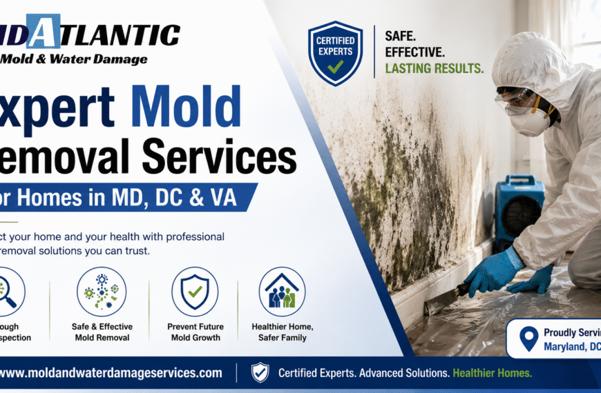 Expert Mold Removal Services for Homes in MD, DC & VA