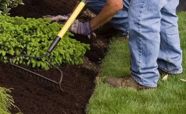 How to Build a Weather-Ready Garden That Looks Good All Year