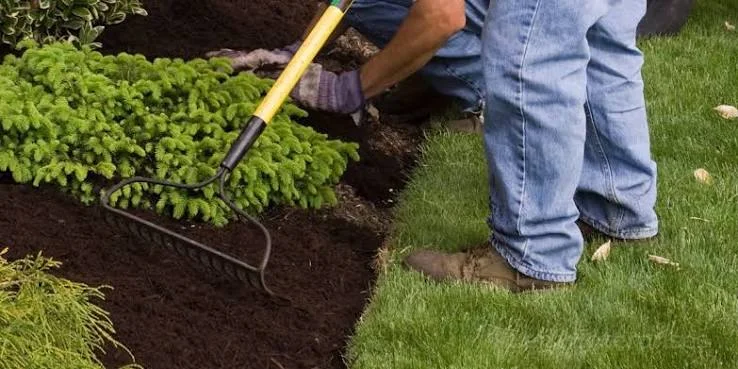 How to Build a Weather-Ready Garden That Looks Good All Year