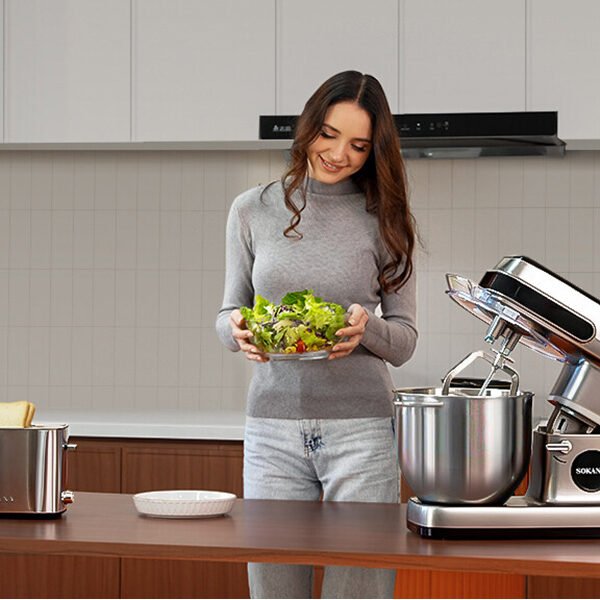 SOKANY Small Appliance Brand Development Trends: A Guide for Distributors