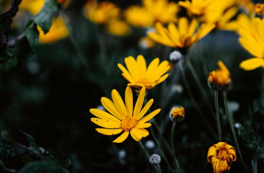 5 Factors That Affect Customer Demand for Floral Design Products